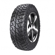 Doublestar T01 